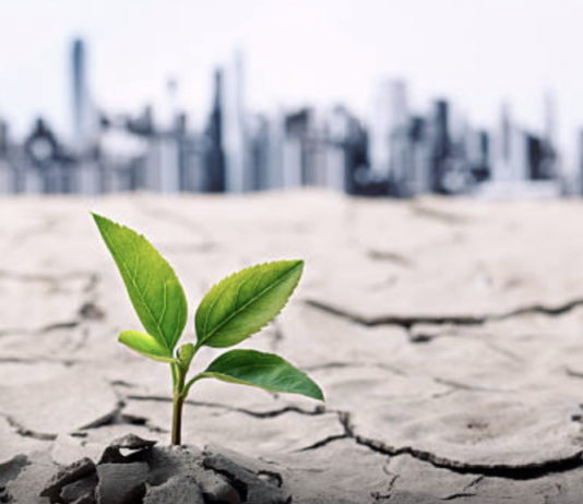 外部環境分析の目的 外部環境分析の目的