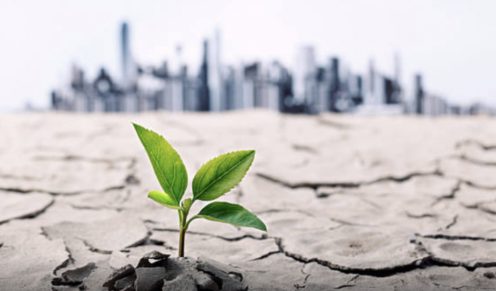 スクリーンショット-2017-06-06-20.04.27 外部環境分析の目的